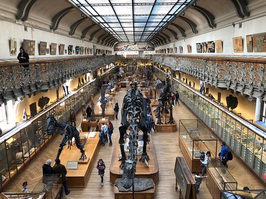 国立自然史博物館